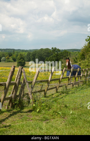 Vista sulla valle di Kennett da una collina a Padworth, Berkshire, Regno Unito Foto Stock