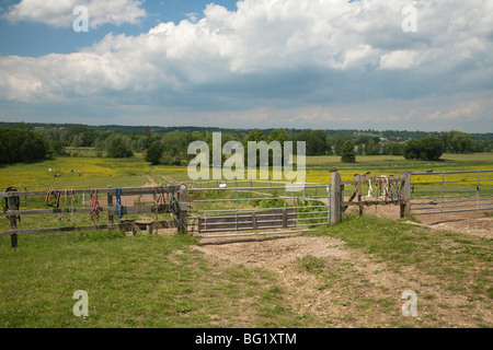 Vista sulla valle di Kennett da una collina a Padworth, Berkshire, Regno Unito Foto Stock