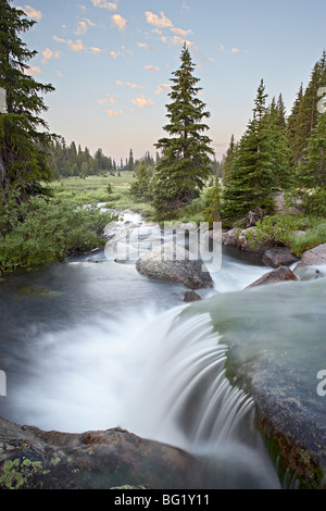 Little Bear Creek cascata a sunrise, Shoshone National Forest, Wyoming negli Stati Uniti d'America, America del Nord Foto Stock