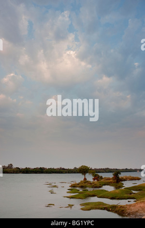 Riverfront del fiume Sambezi. La foto è stata scattata in Zimbabwe il Victoria Falls National Park. Foto Stock