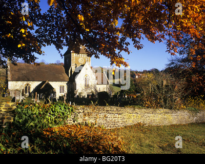 Seale Surrey in Inghilterra UK Novembre chiesa di San Lorenzo in autunno incorniciato da un bosco di faggi con foglie d'oro Foto Stock