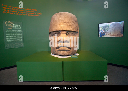 Olmec testa colossale di scultura del Museo Nazionale di Antropologia in mostra a Città del Messico Foto Stock