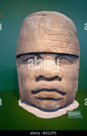 Olmec testa colossale di scultura del Museo Nazionale di Antropologia in mostra a Città del Messico Foto Stock