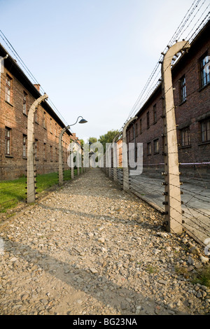 Divario tra electric recinzioni perimetrali ad Auschwitz nazista di morte camp. La Polonia. Prigioniero alloggio blocchi sono sulla destra. Foto Stock