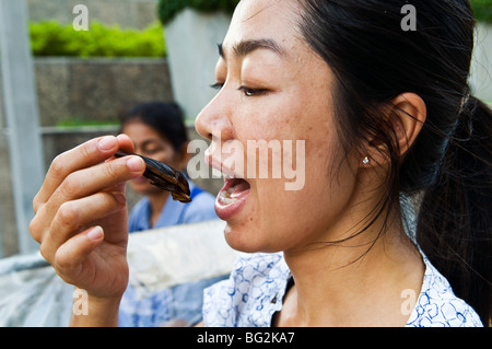 Mangiare la sua frittura di bug. Foto Stock