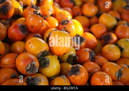 Diospyros - Frutti Persimmon Foto Stock