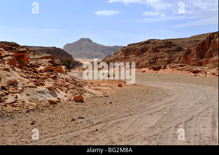 Off road tracks in sud nel deserto del Sinai, Egitto Foto Stock