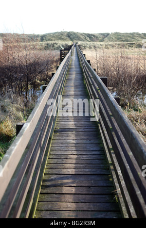 Passerella in legno che conduce su bagnato marsh terra nel Regno Unito Foto Stock