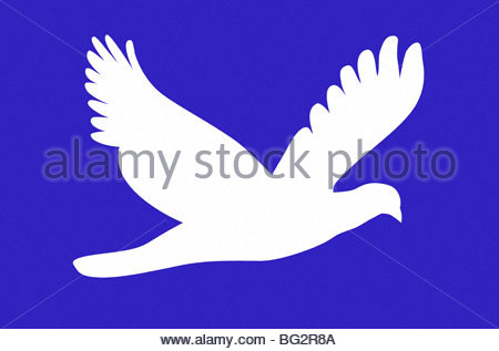 Colomba bianca illustrazione Foto Stock