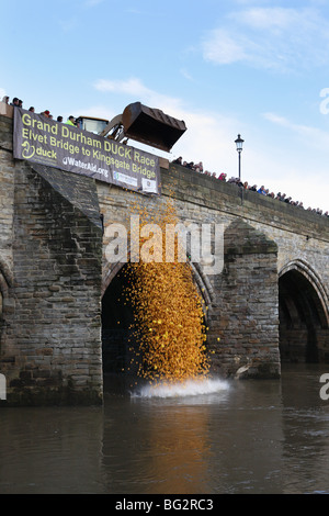 Durham Duck Race - il lancio da Elvet ponte nel fiume usura, Durham, England Regno Unito. Foto Stock