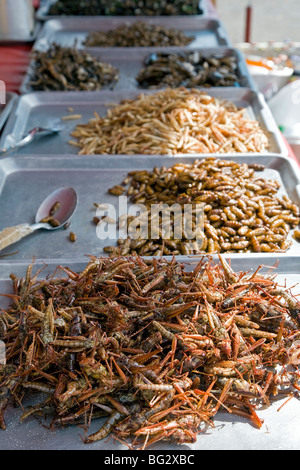 Cavallette fritte ed altri insetti. Cibo di strada a Bangkok. Della Thailandia Foto Stock