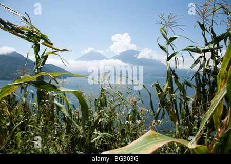 Vulcani di San Pedro, Toliman e Atitlan al lago Atitlan Guatemala. Foto Stock