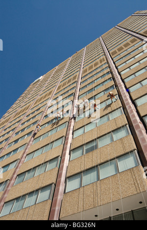 Detergenti per finestre a lavorare su di una faccia di un alto edificio in Cape Town CBD, Sud Africa. Foto Stock