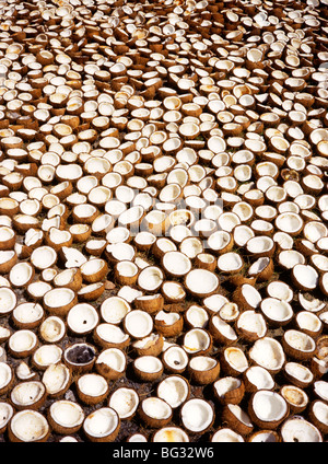 India, Sud isola delle Andamane cibo, essiccazione di noce di cocco in sun da strada Foto Stock