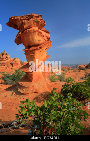 Faro formazione sagomata in BLM somministrato Vermiglio scogliere monumento nazionale, Arizona Foto Stock