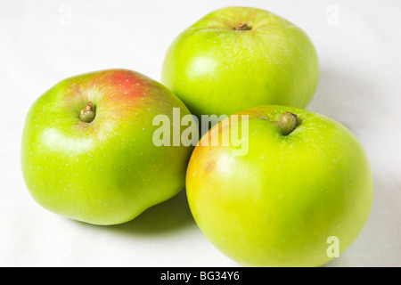 Tre Bramley cucinare le mele su sfondo bianco Foto Stock