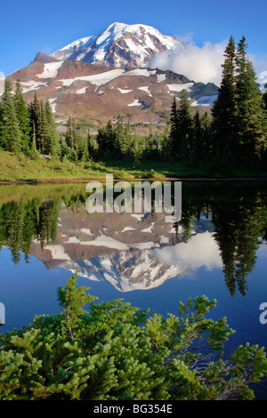 Mount Rainier dal parco di spruzzo Foto Stock