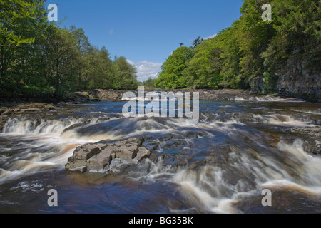 Il Fiume Tees tra forza elevata e bassa forza cascate Foto Stock