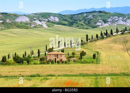 Crete Senesi, vicino a Asciano, in provincia di Siena, Toscana, Italia, Europa Foto Stock