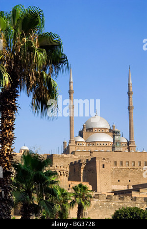 Cittadella moschea, Il Cairo, Egitto, Africa Settentrionale, Africa Foto Stock