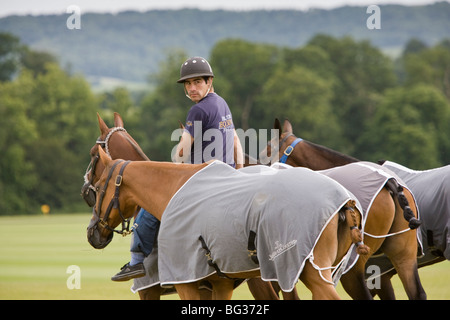 Un groom corre con un gruppo di polo pony prima di una partita, Cowdray Park, Inghilterra. Foto Stock