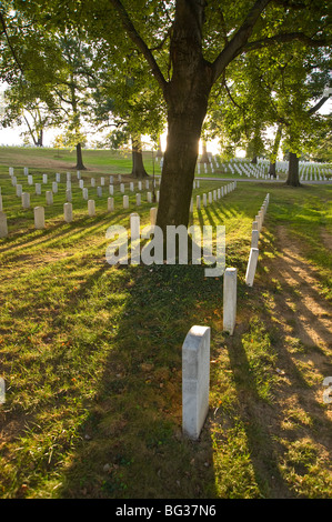 Al Cimitero Nazionale di Arlington, Washington DC, Stati Uniti d'America Foto Stock