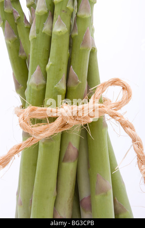 Gli asparagi spears legato di canapa o di sisal string mantenendole ordinate isolata contro il bianco. Foto Stock