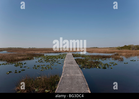 Parco nazionale delle Everglades, Sito Patrimonio Mondiale dell'UNESCO, Florida, Stati Uniti d'America, America del Nord Foto Stock