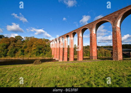 Viadotto Leaderfoot vicino a Melrose, frontiere, Scozia Foto Stock