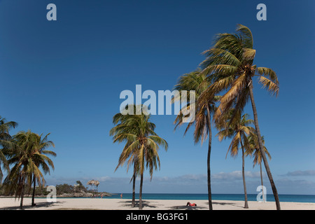 Playa del Este, Havana, Cuba, West Indies, America Centrale Foto Stock
