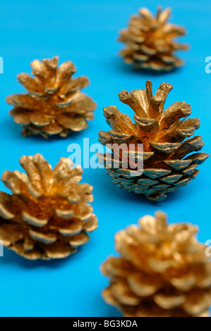 Golden pigne guardando come alberi di natale su sfondo blu Foto Stock