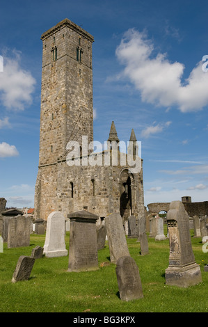 La torre del secolo XI St Regulus (St regola) Chiesa, St Andrews Fife, Scozia, Regno Unito. 35 metri da St Andrews cathedral Foto Stock