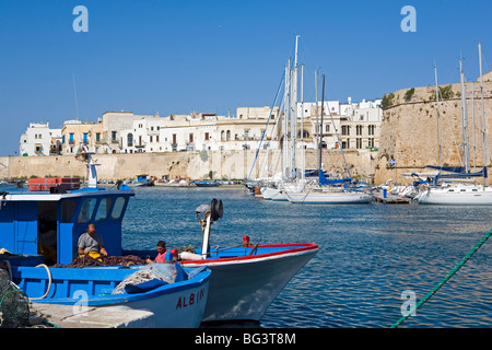 Il castello e la Città Vecchia, Gallipoli, Lecce Provincia, Puglia, Italia, Europa Foto Stock