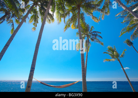 Amaca tra palme sulla spiaggia, Bali, Indonesia, Asia sud-orientale, Asia Foto Stock