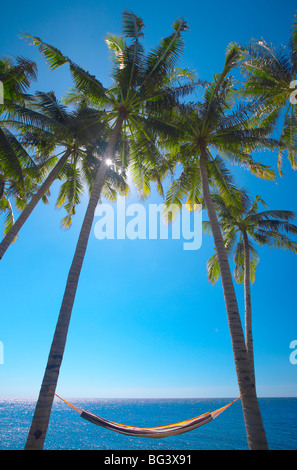 Amaca tra palme sulla spiaggia, Bali, Indonesia, Asia sud-orientale, Asia Foto Stock