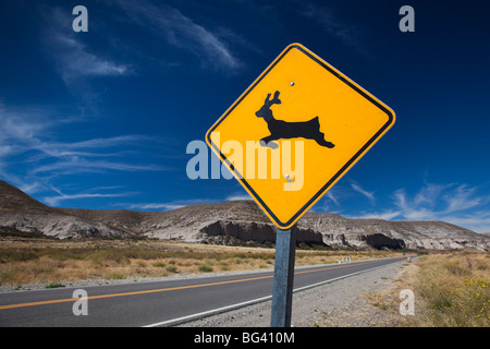 Argentina NEUQUEN Provincia, Lake District, Rincon Chico, cervi attraversando segno lungo la RN 40 Foto Stock