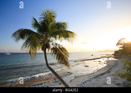 Puerto Rico, l'isola di Vieques, Esperanza Bay Foto Stock