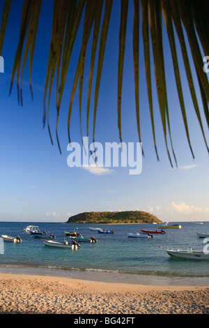 Puerto Rico, l'isola di Vieques, Esperanza Bay Foto Stock