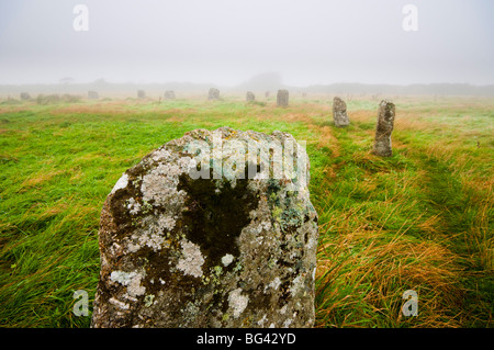 Regno Unito, Inghilterra, Cornwall, Merry Maidens cerchio di pietra Foto Stock