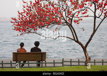 Coppia cinese seduto sotto agli alberi in fiore lungo Xi Hu (West Lake) al tramonto, Hangzhou, Zhejiang, Cina e Asia Foto Stock