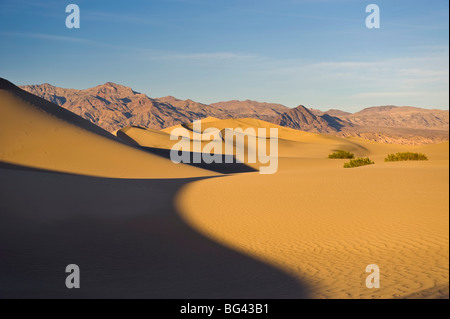 Stati Uniti, California, Parco Nazionale della Valle della Morte, Mesquite Flat dune di sabbia Foto Stock