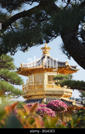 La pagoda dorata in Giardino Nan Lian vicino a Chi Lin Monastero, Diamond Hill, Kowloon, Hong Kong, Cina, Asia Foto Stock