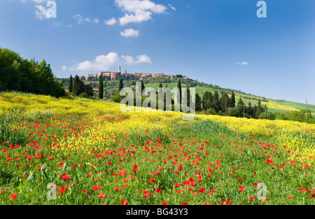 Città sulla collina di Pienza e campo di papaveri, Toscana, Italia Foto Stock