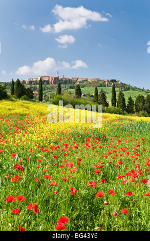 Città sulla collina di Pienza e campo di papaveri, Toscana, Italia Foto Stock