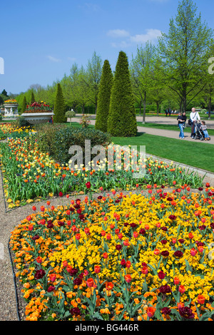 Inghilterra, London, Regents Park Avenue giardini e fiori in mostra Foto Stock