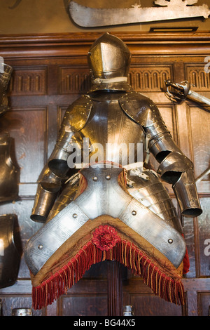 Inghilterra, Warwickshire, Warwick, il Castello di Warwick, Armatura Display Foto Stock