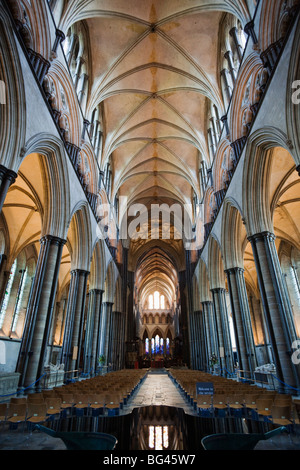 Inghilterra, Wiltshire, Cattedrale di Salisbury, la navata centrale tetto Foto Stock