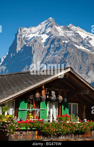 Casa Tradizionale, Grindelwald, Berner Oberland, Svizzera Foto Stock