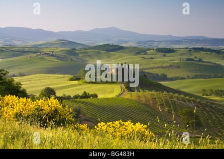 Agriturismo Val d' Orcia, Toscana, Italia Foto Stock