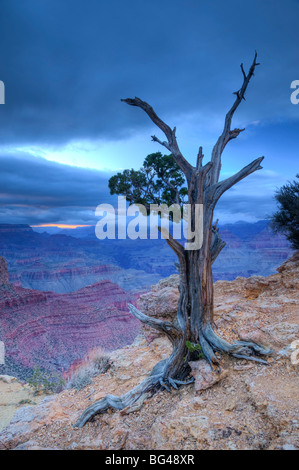 Stati Uniti d'America, Arizona, Grand Canyon, dal punto Moran Foto Stock